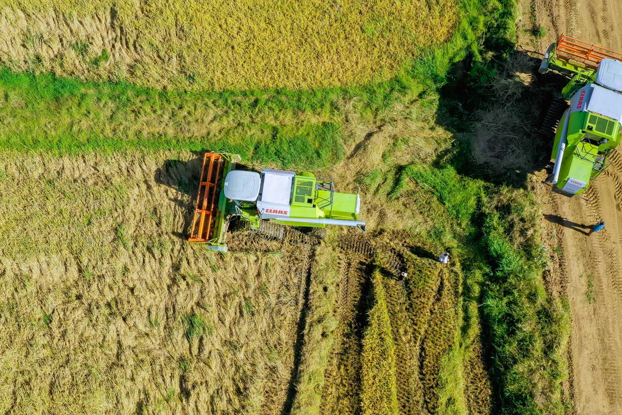 farming-6-highlandestate farming-6-highlandestate