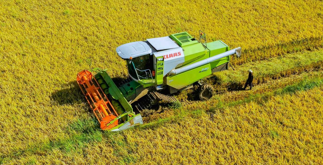 Estates Tanzania Awards