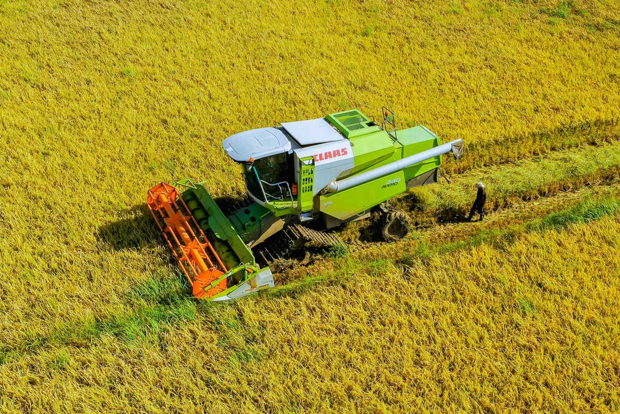 Estates Tanzania Awards